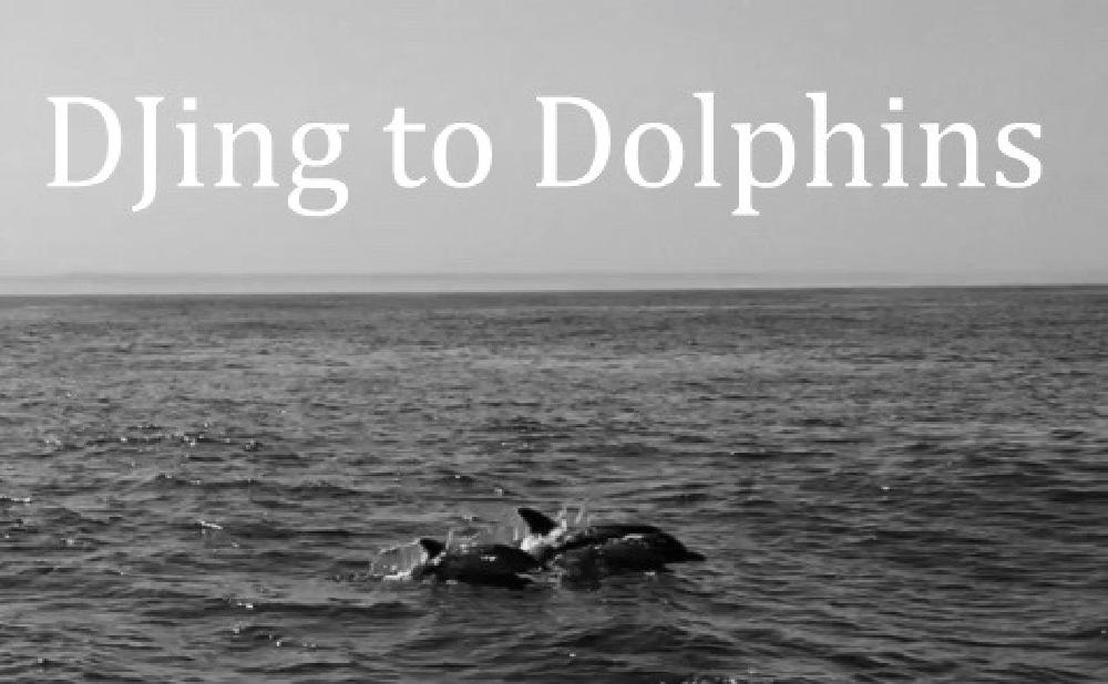 djing-to-dolphins.jpg